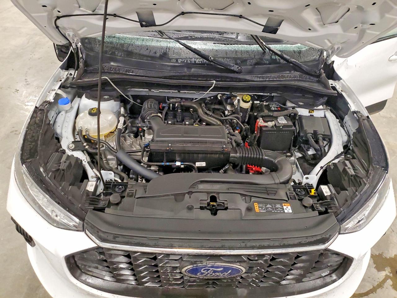 Ford Escape Active