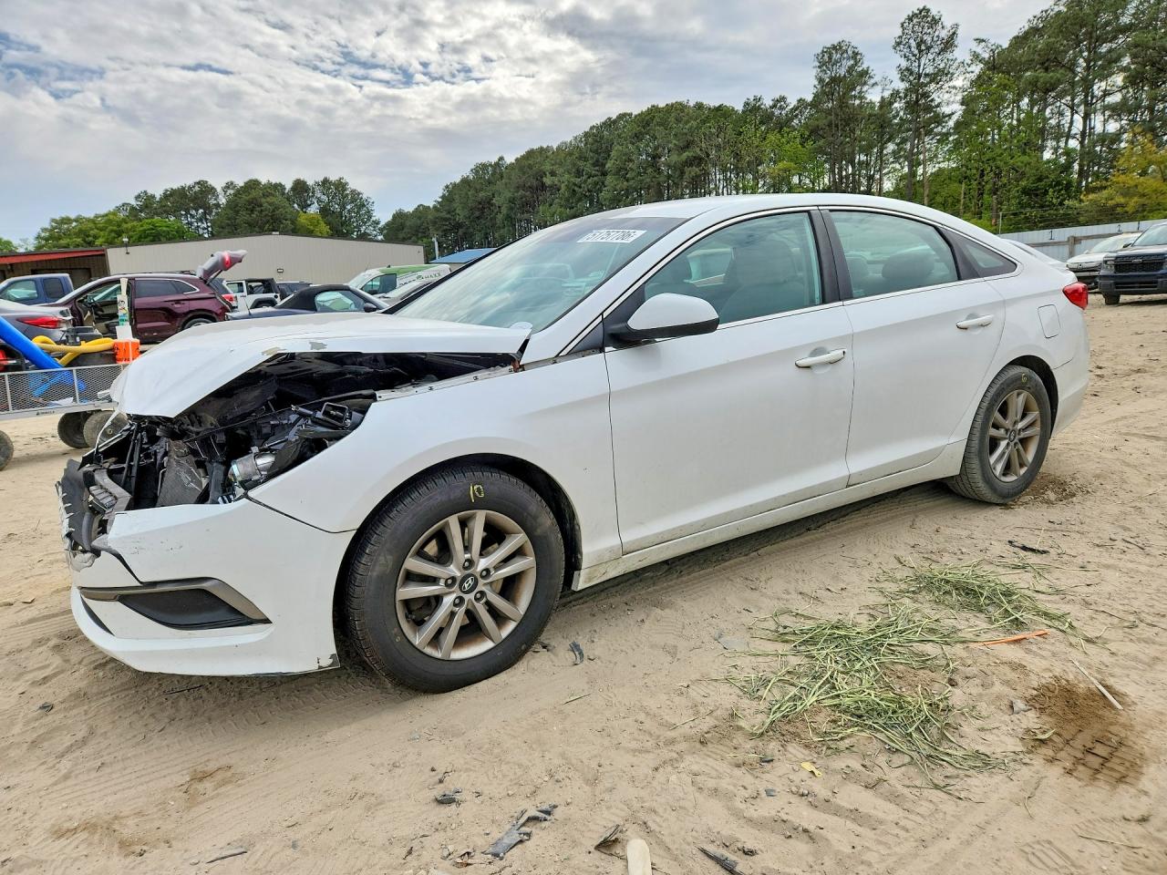 Salvage Hyundai SONATA Image