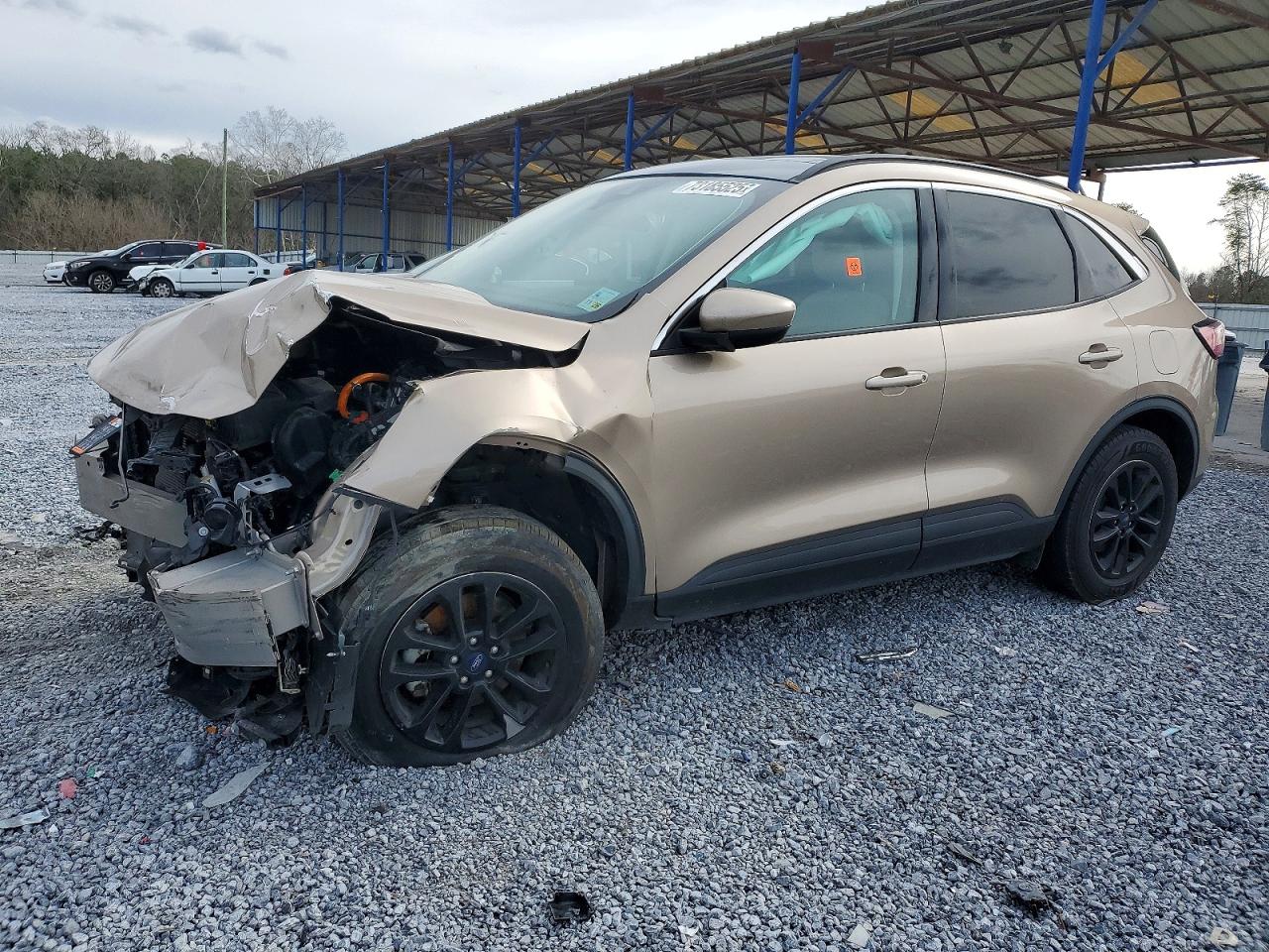 Salvage Ford Escape Image