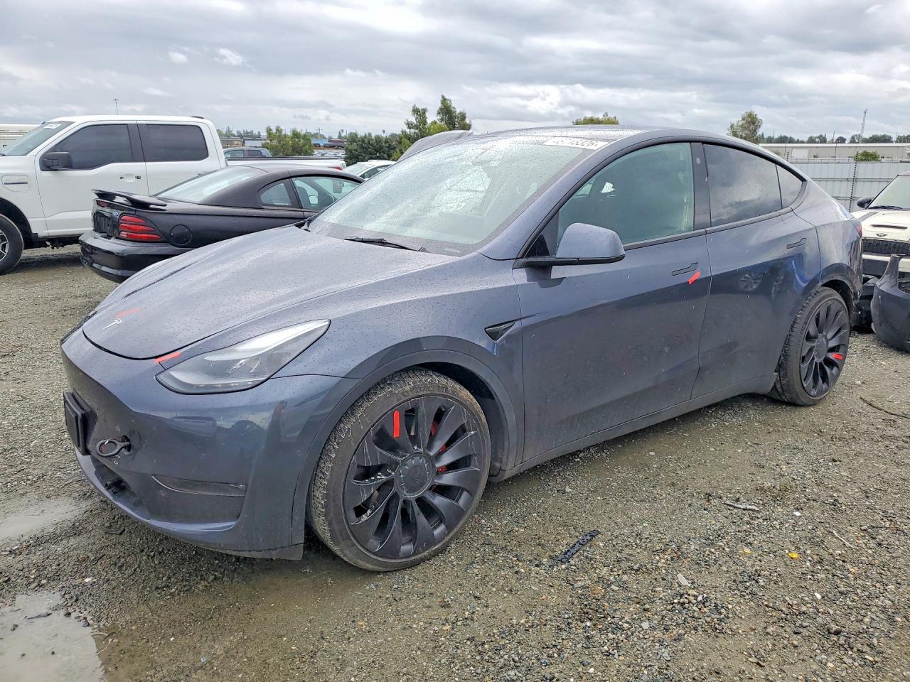 Salvage Tesla Model Y Image