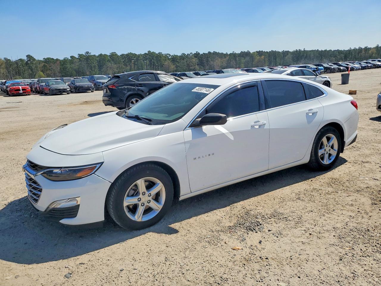 Salvage Chevrolet Malibu Image