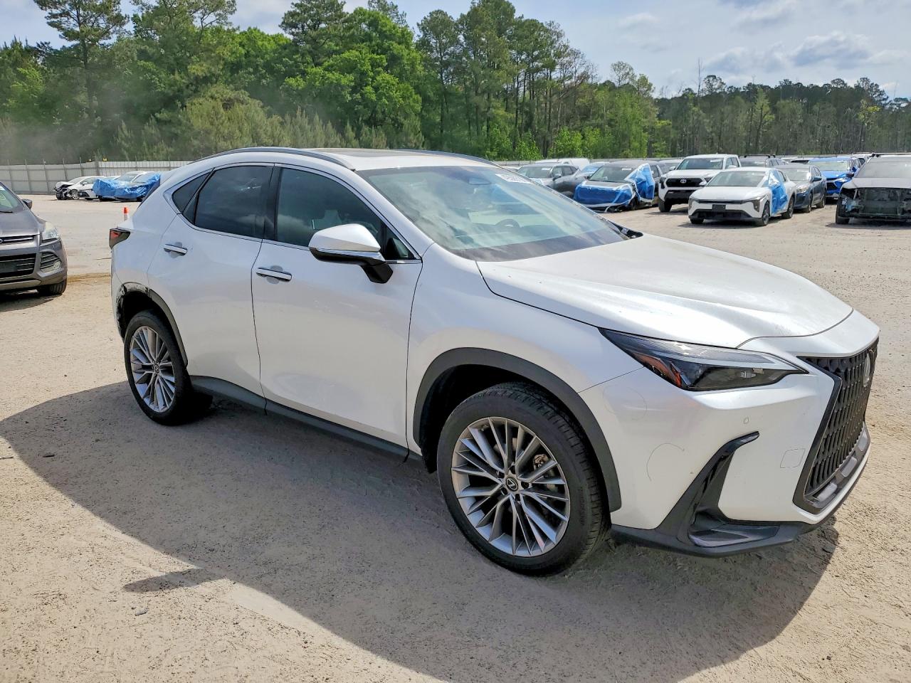 Lexus NX Premium