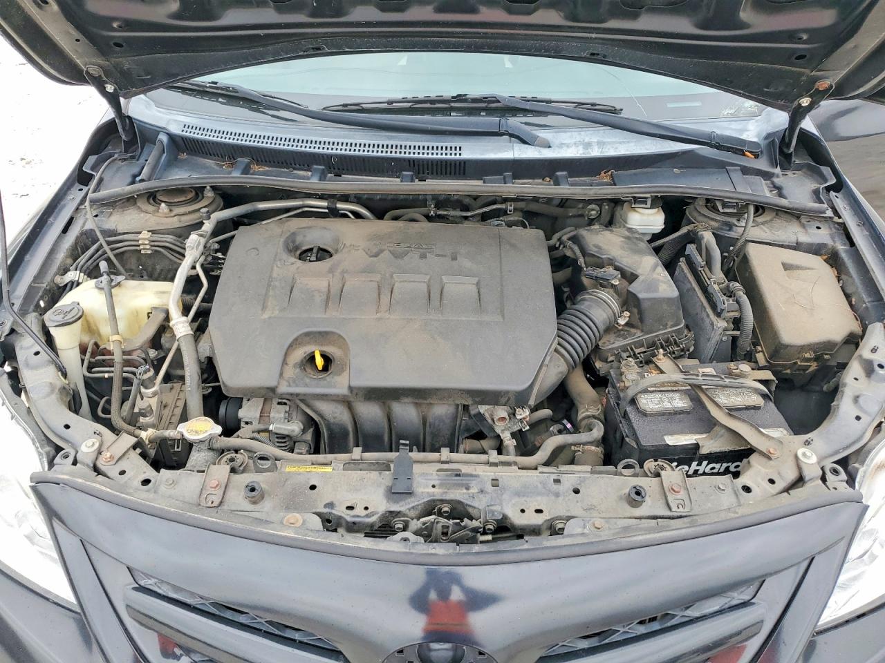Toyota Corolla L