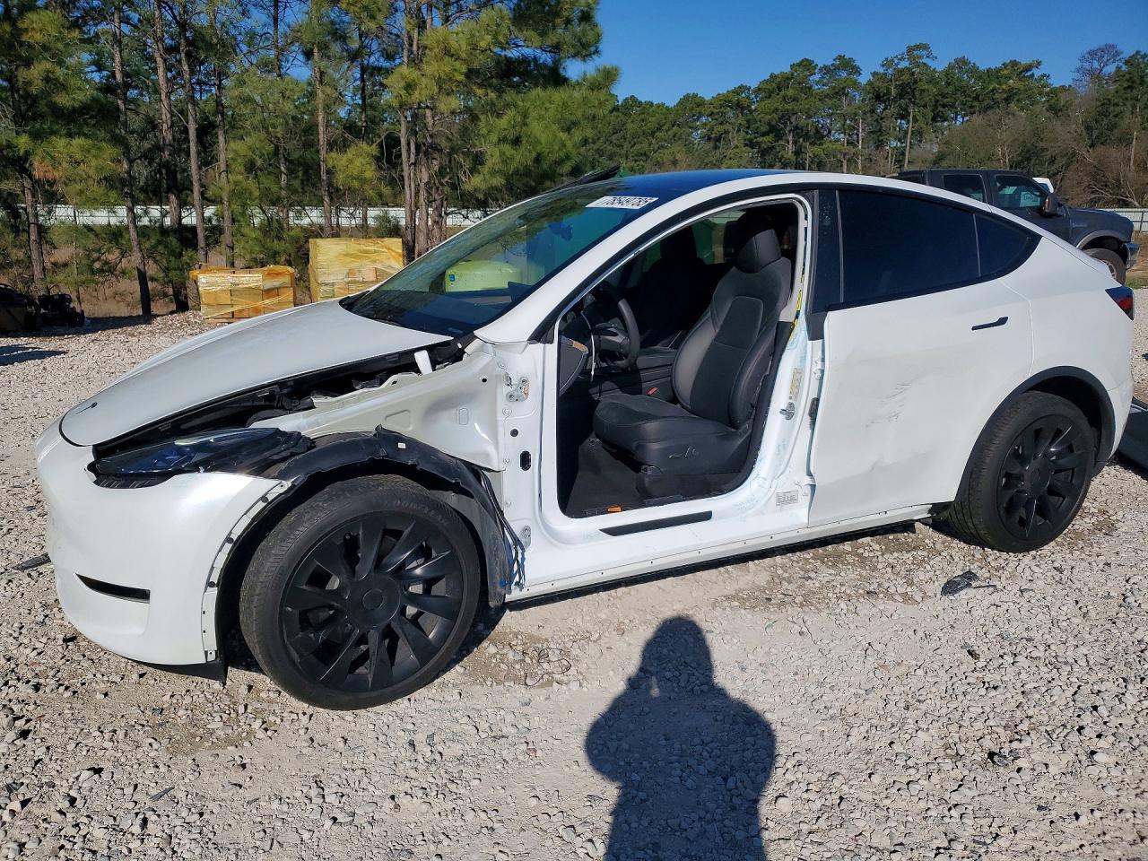 Salvage Tesla Model Y Image