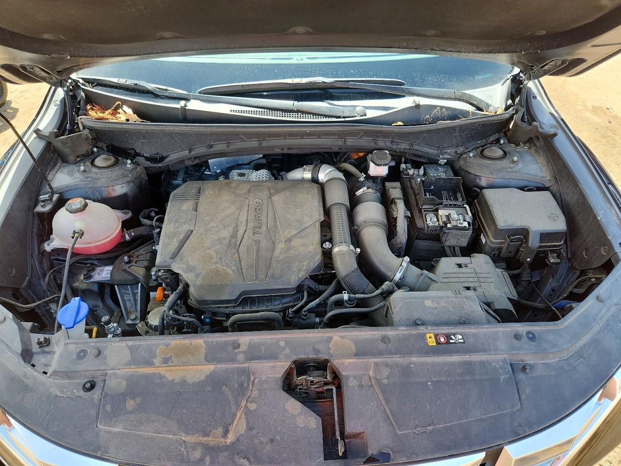 Hyundai SANTA CRUZ Sel Premium