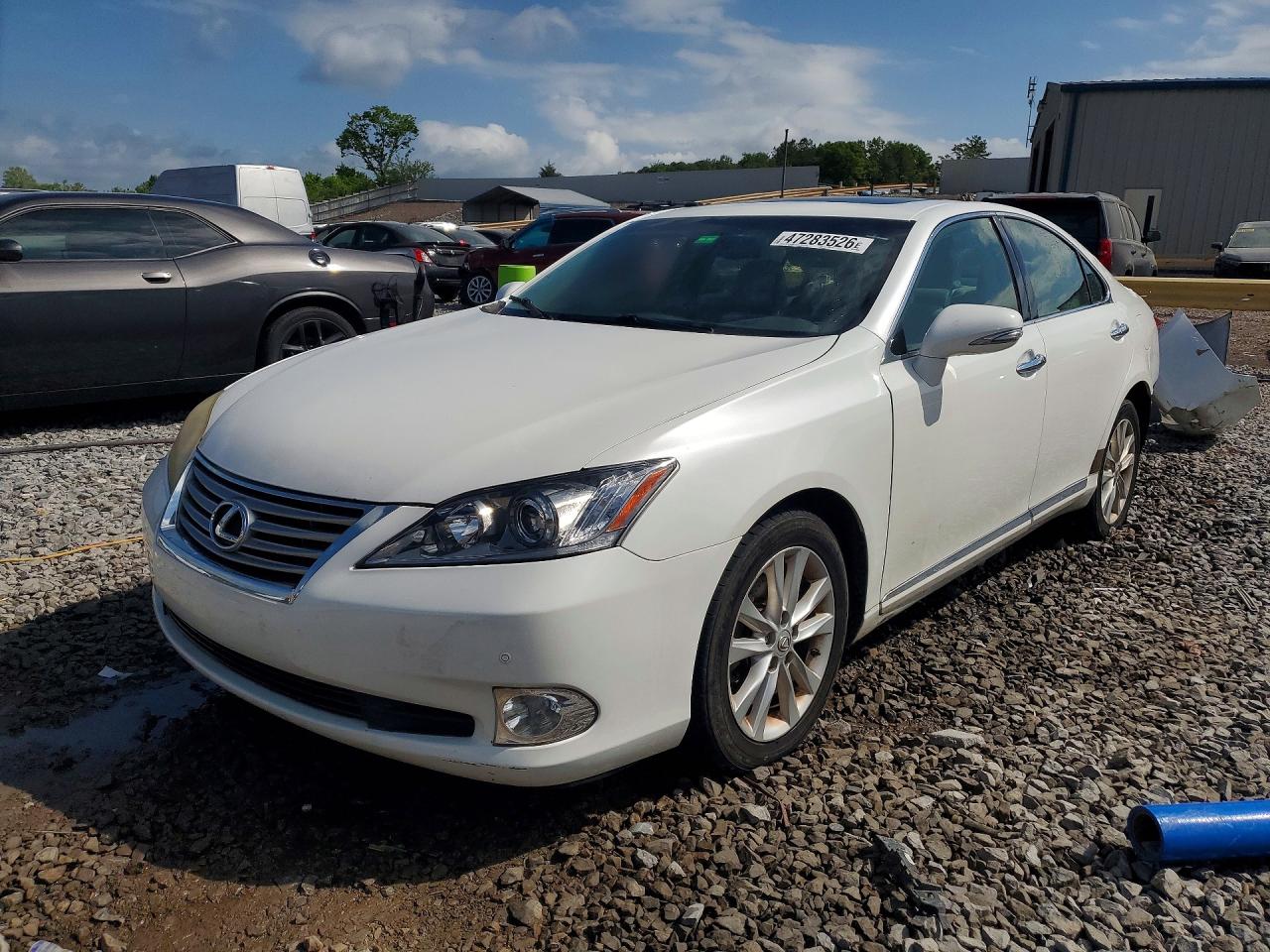 Salvage Lexus Es Image