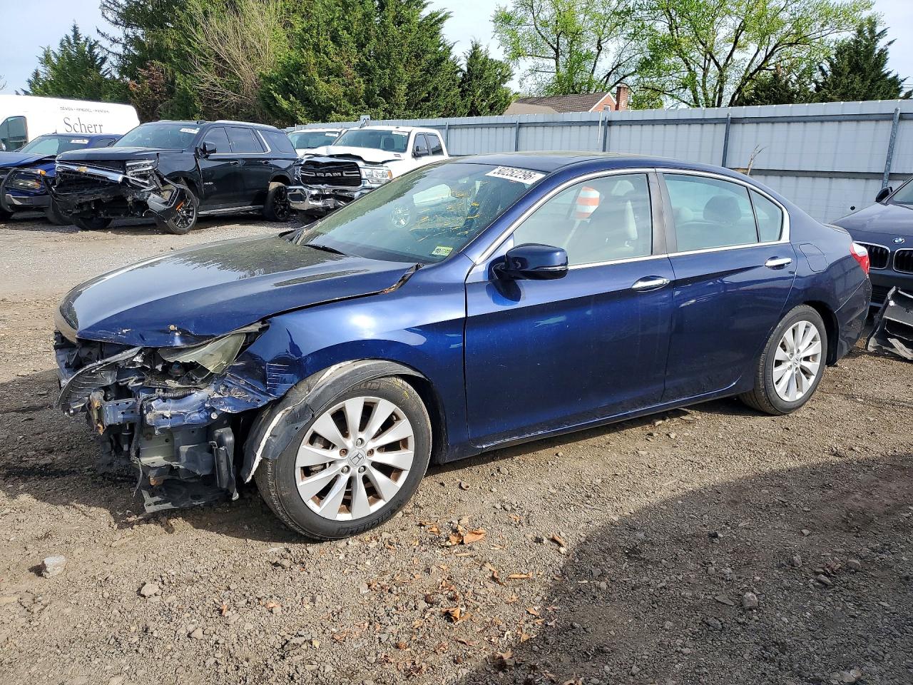 Salvage Honda Accord Image