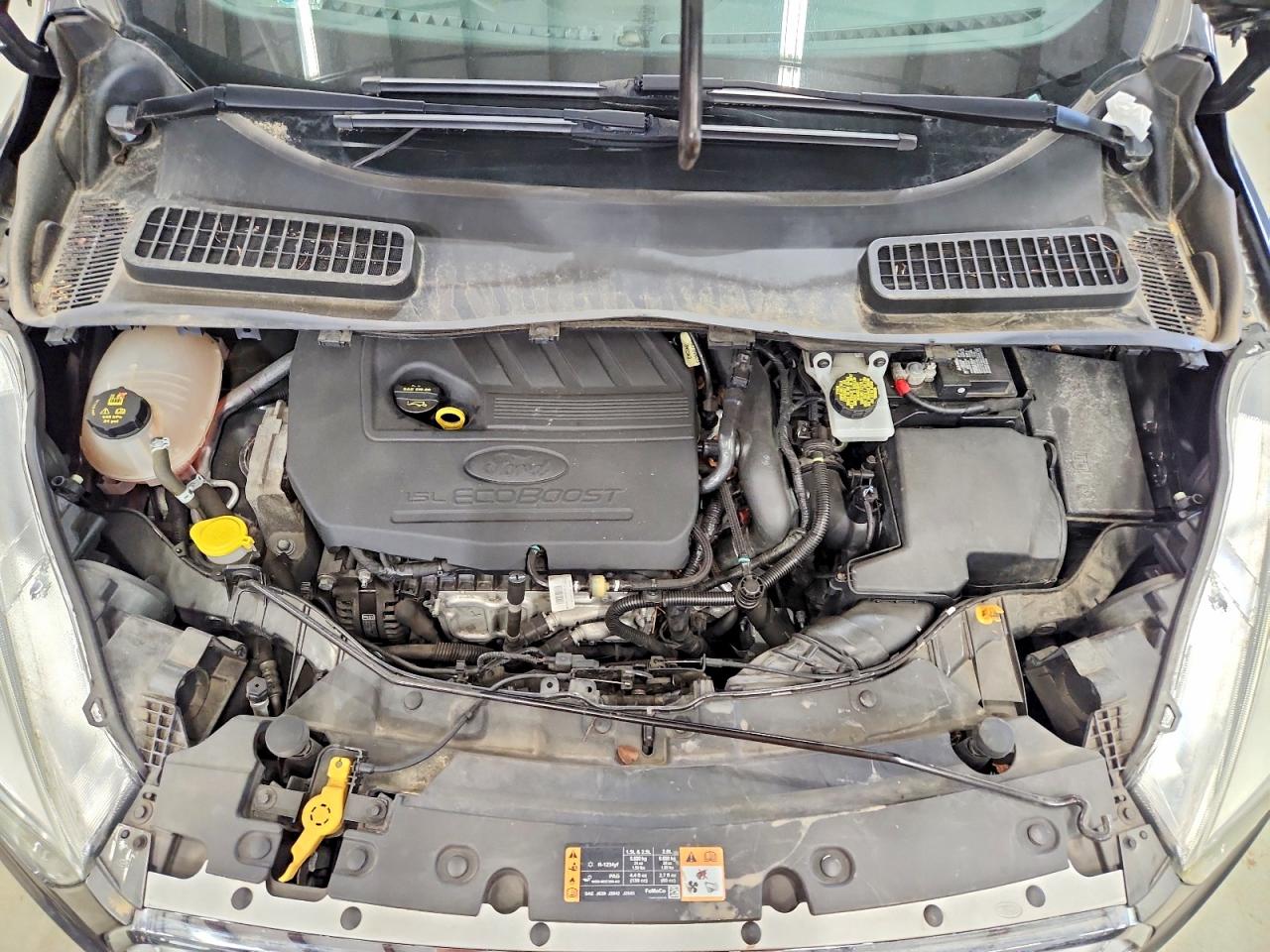 Ford Escape Se