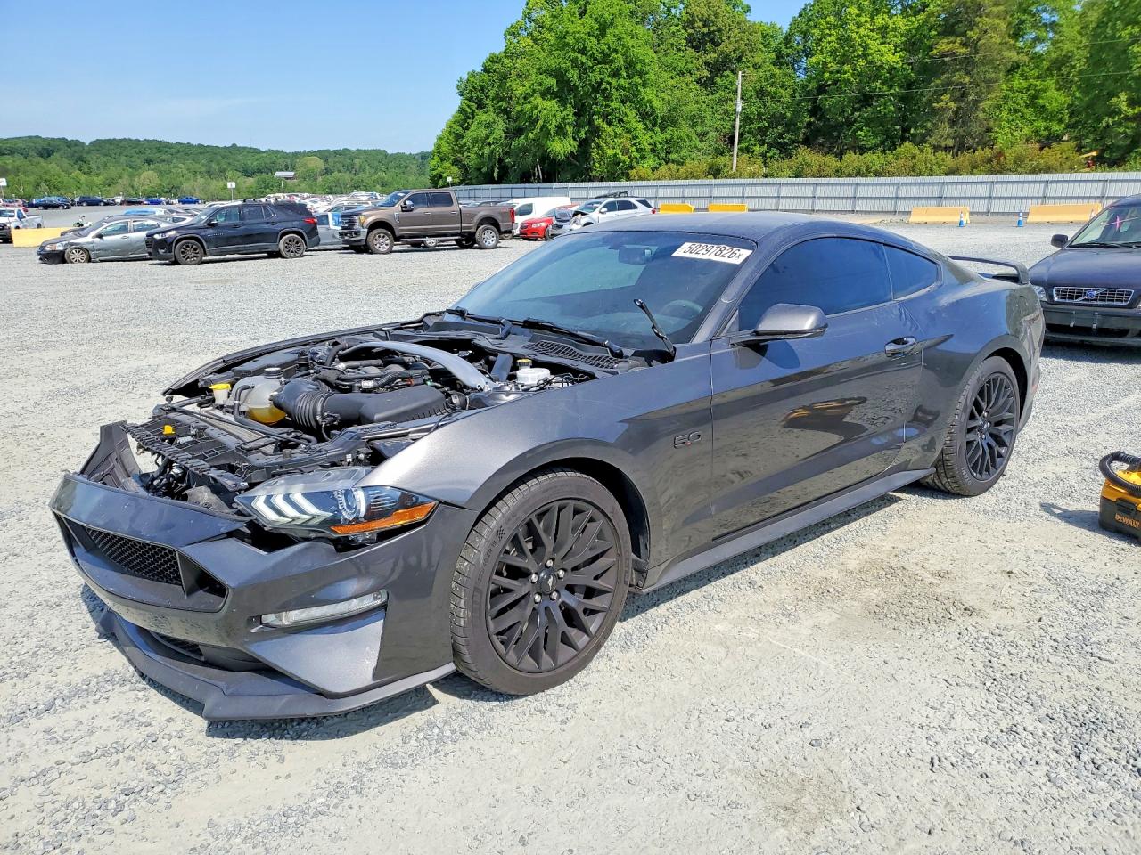 Salvage Ford Mustang Image