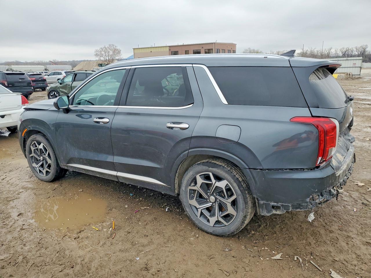 Hyundai PALISADE Calligraphy