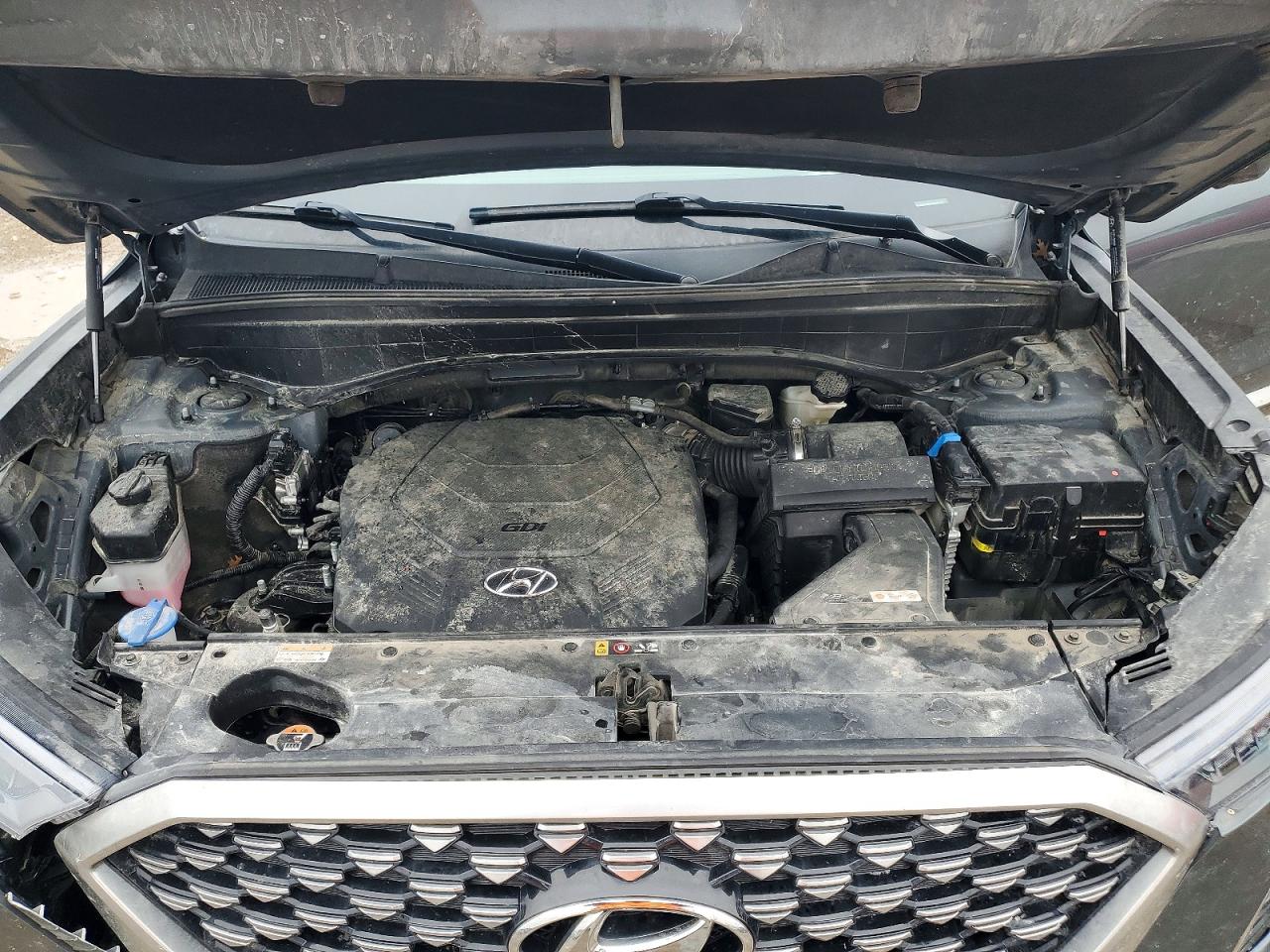 Hyundai PALISADE Calligraphy
