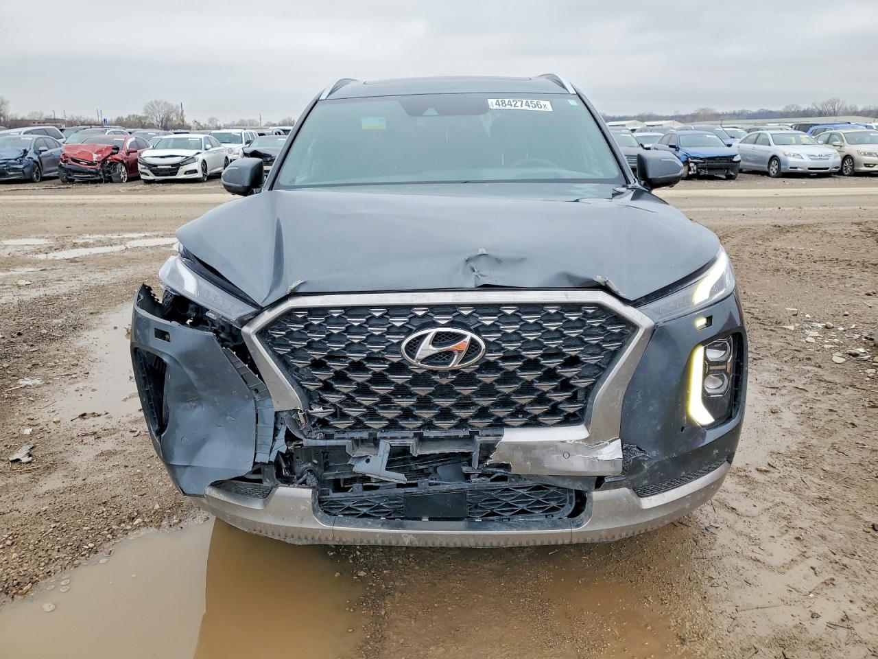 Hyundai PALISADE Calligraphy