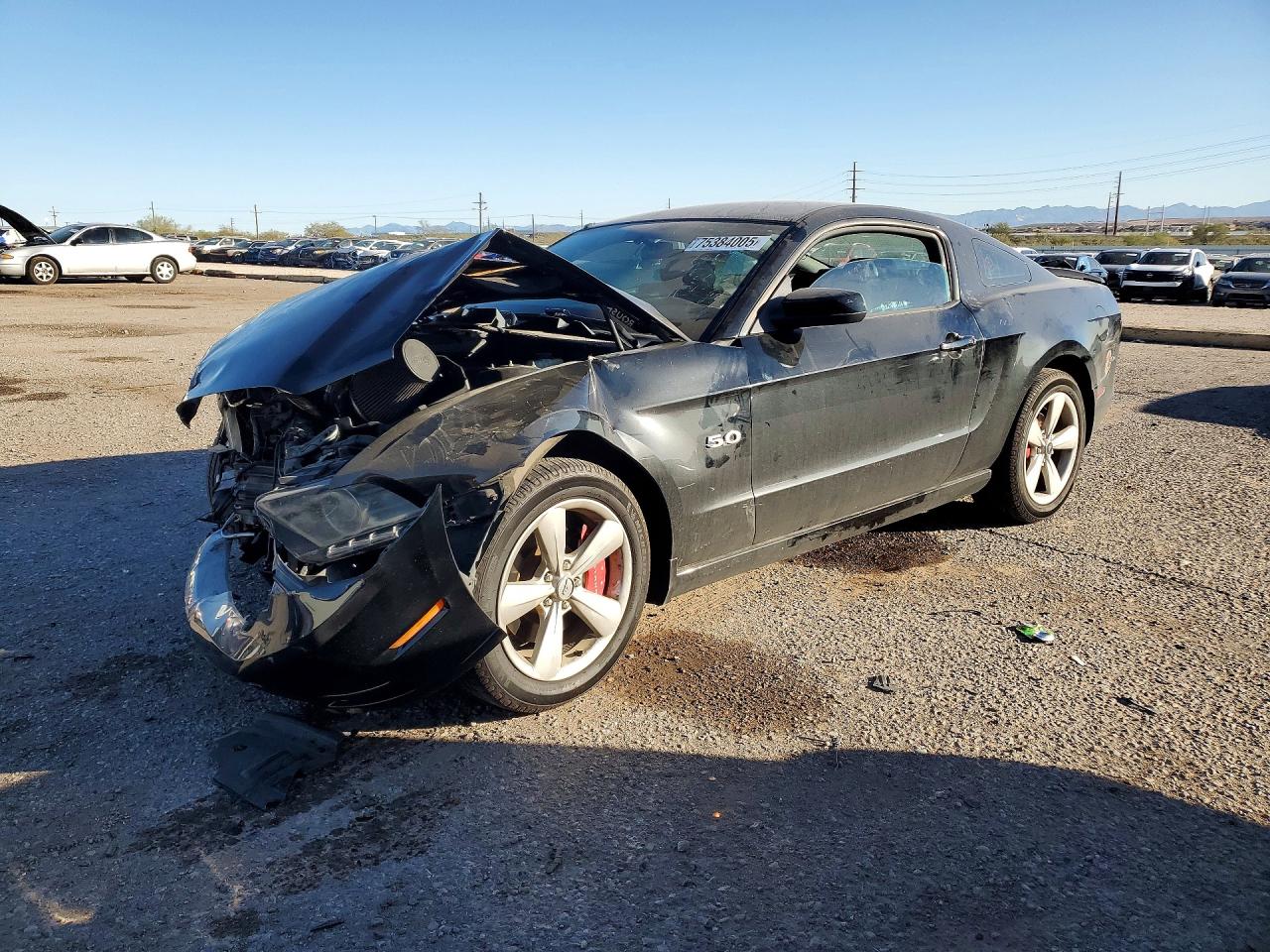 Salvage Ford Mustang Image