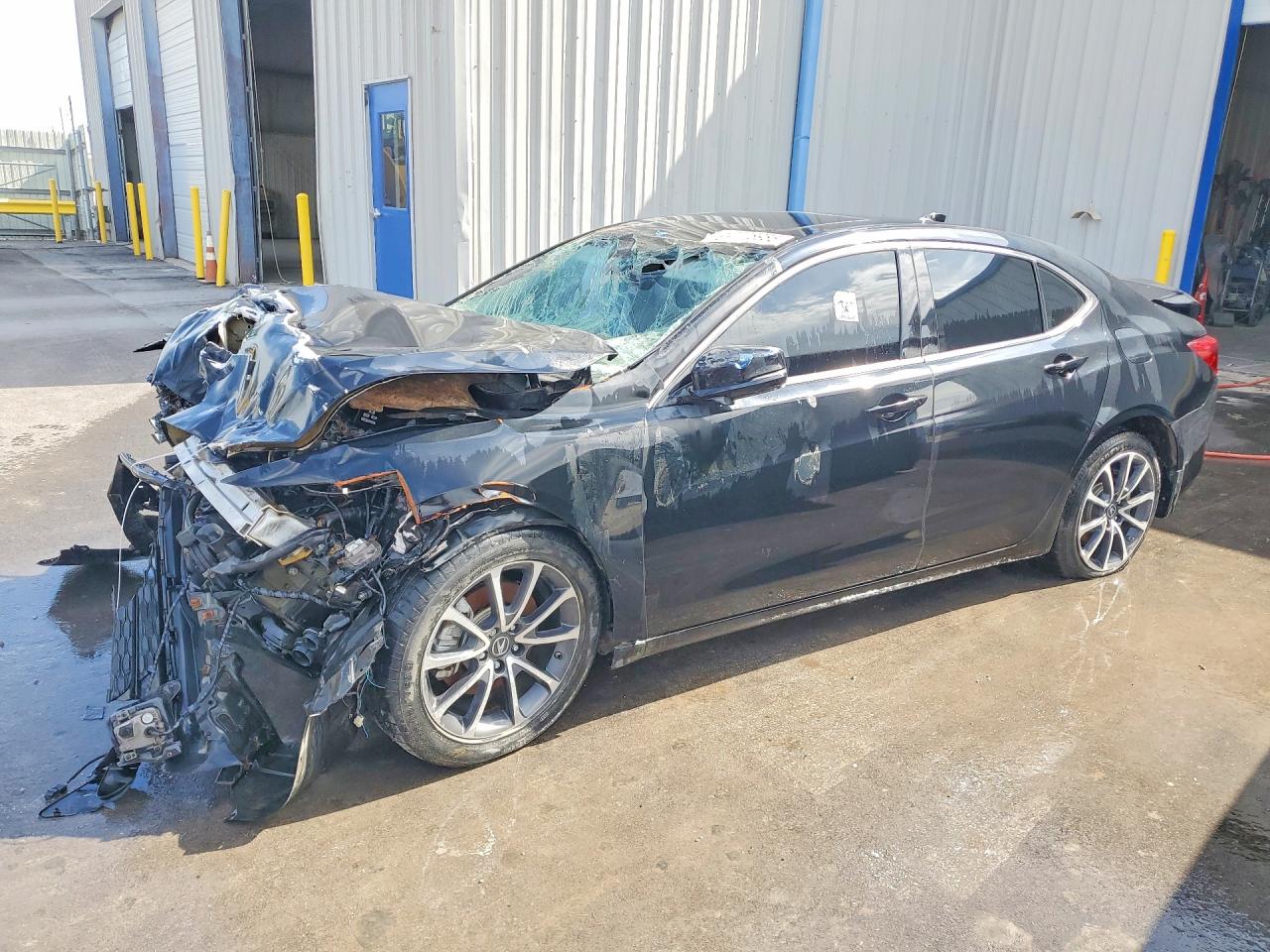 Salvage Acura TLX Image