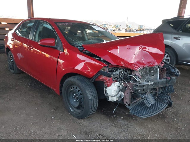 Salvage Toyota Corolla Image