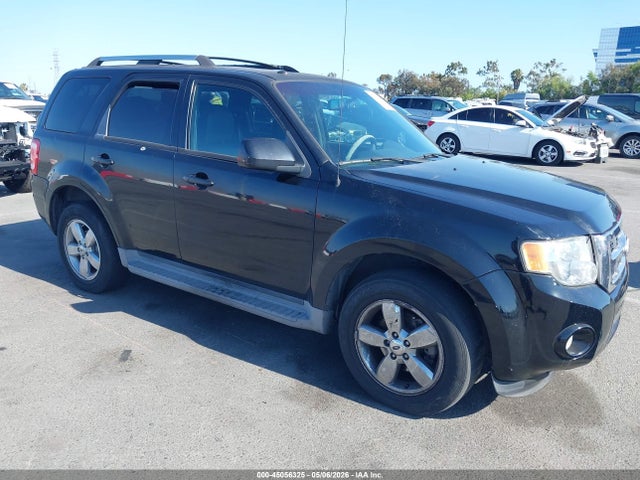 Salvage Ford Escape Image