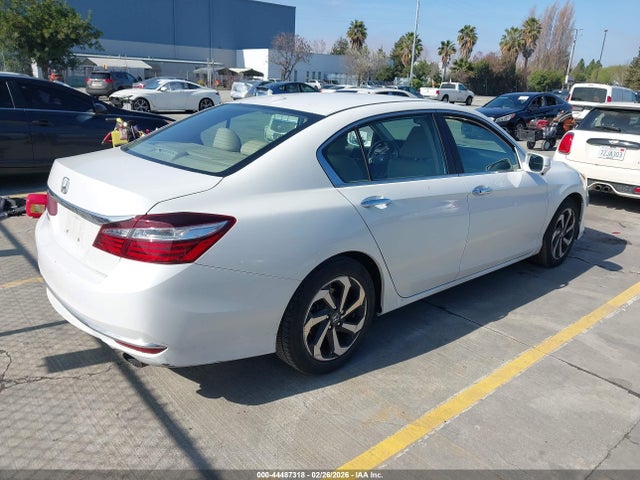 Honda Accord Ex-l