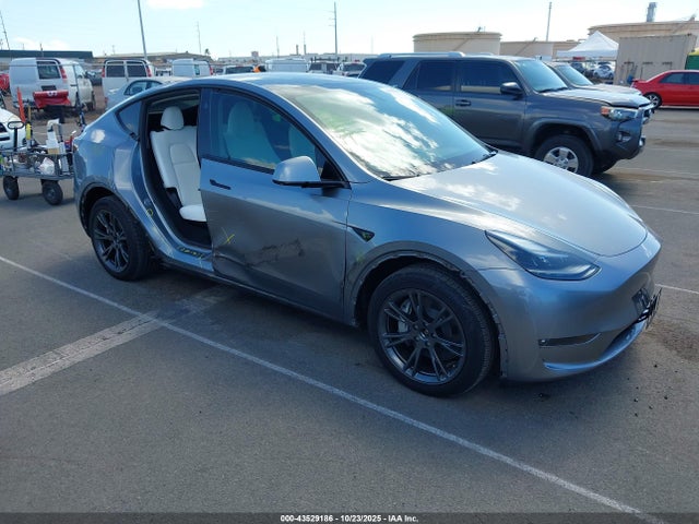 Salvage Tesla Model Y Image