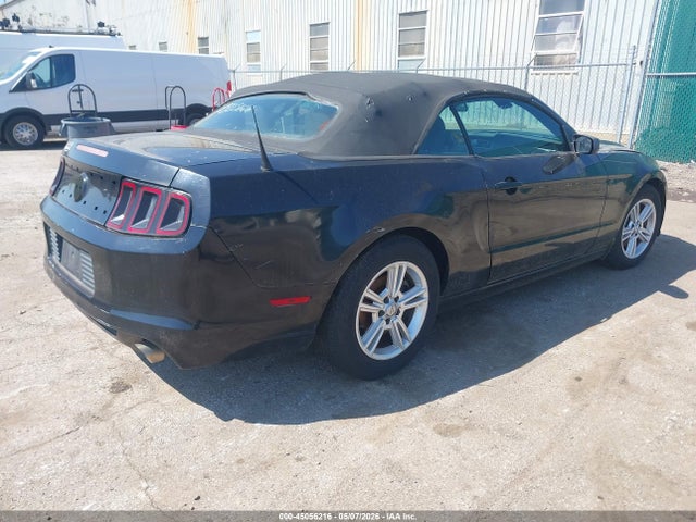 Ford Mustang V6