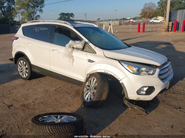 Salvage Ford Escape Image