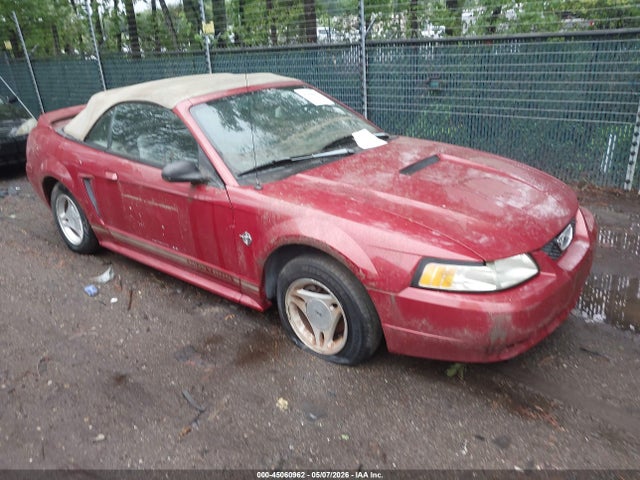 Salvage Ford Mustang Image