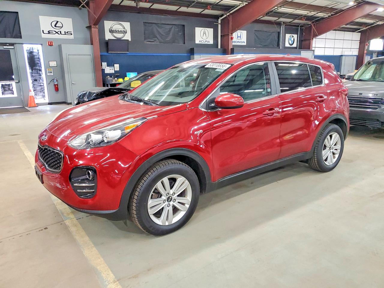 Salvage Kia Sportage Image