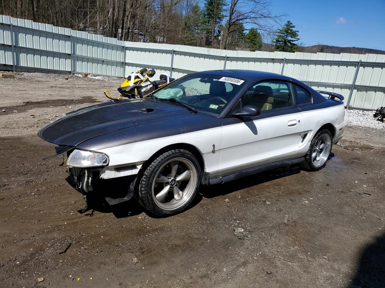 Salvage Ford Mustang Image