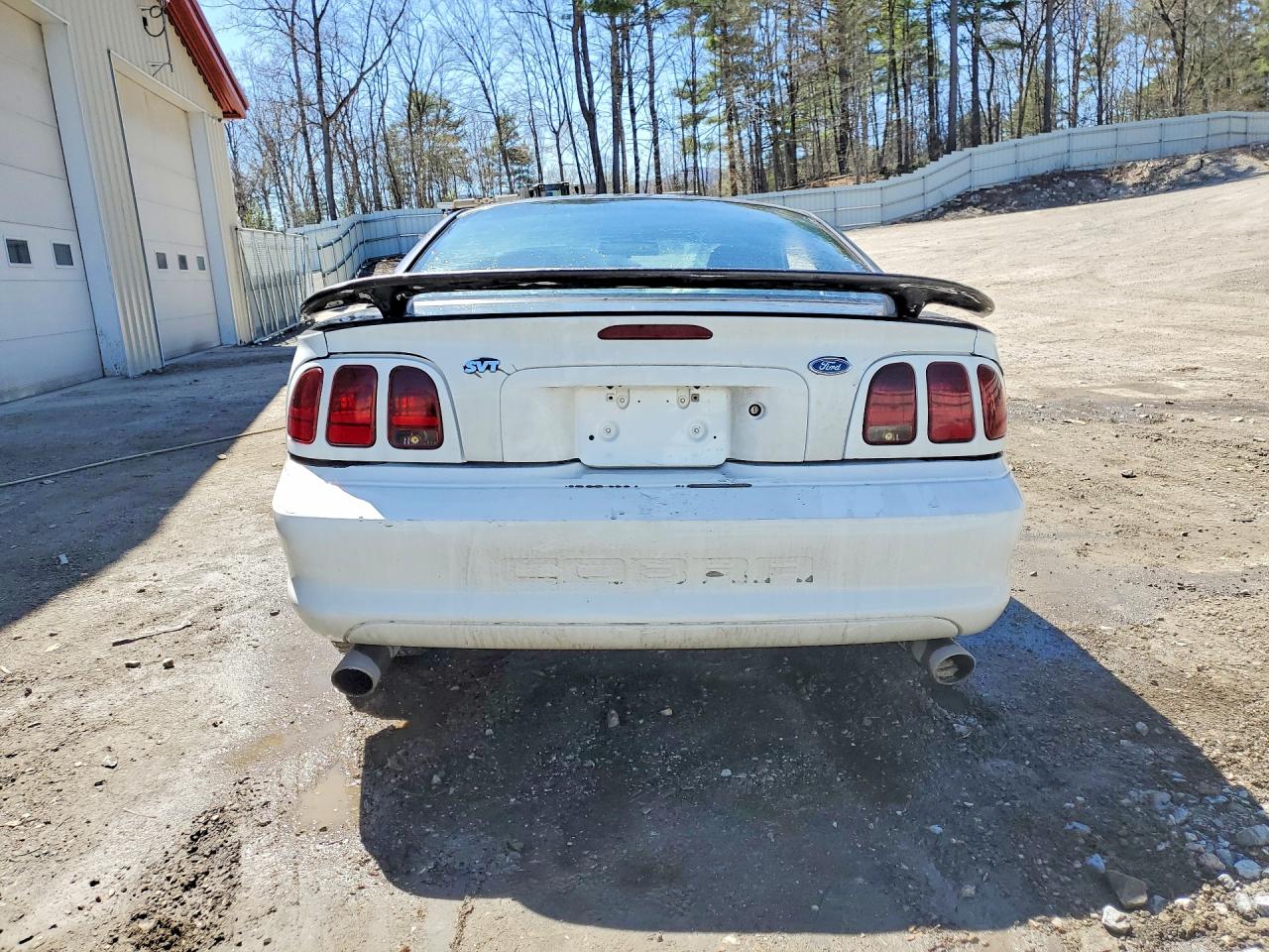 Ford Mustang Cobra