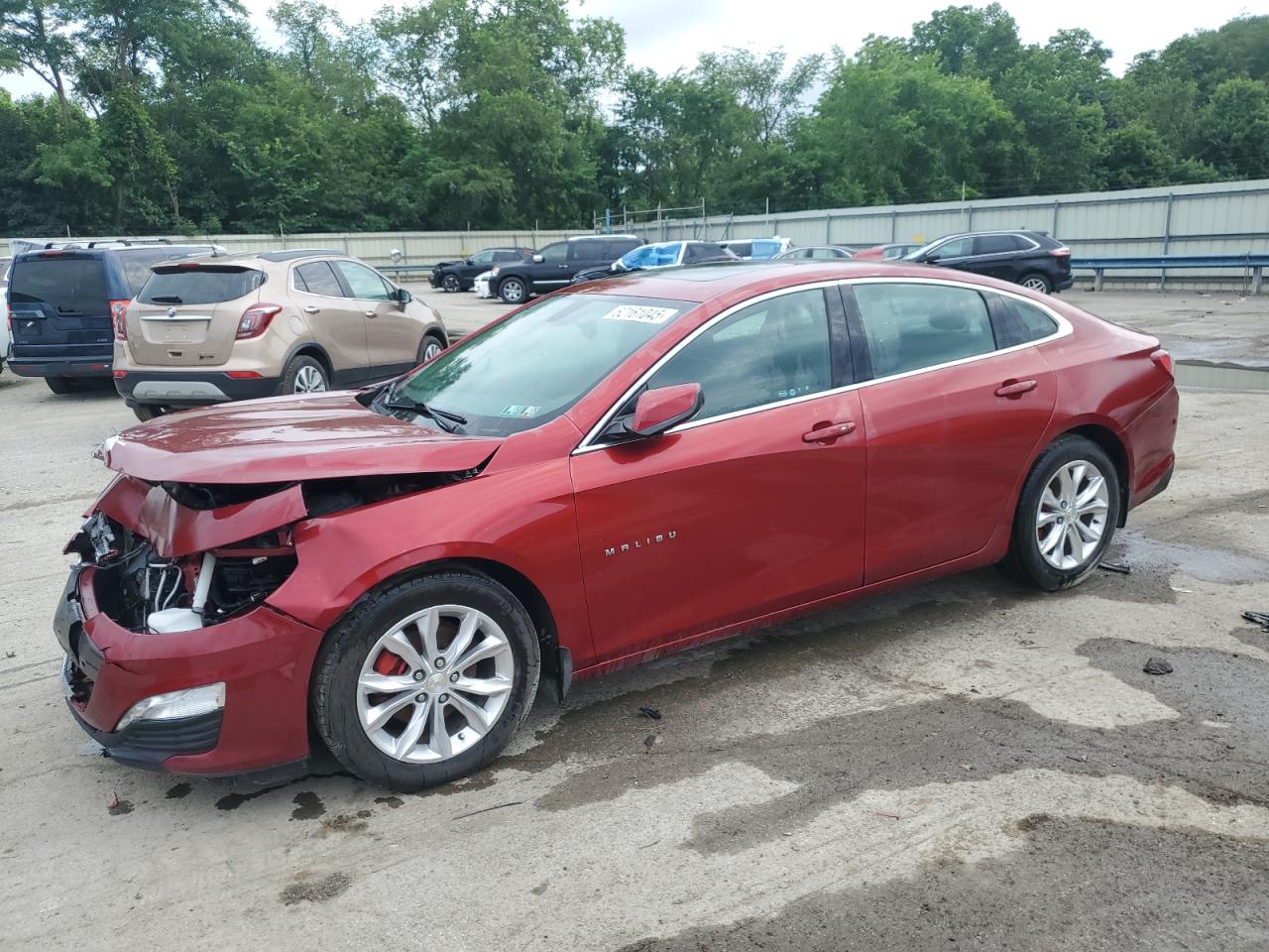 Salvage Chevrolet Malibu Image