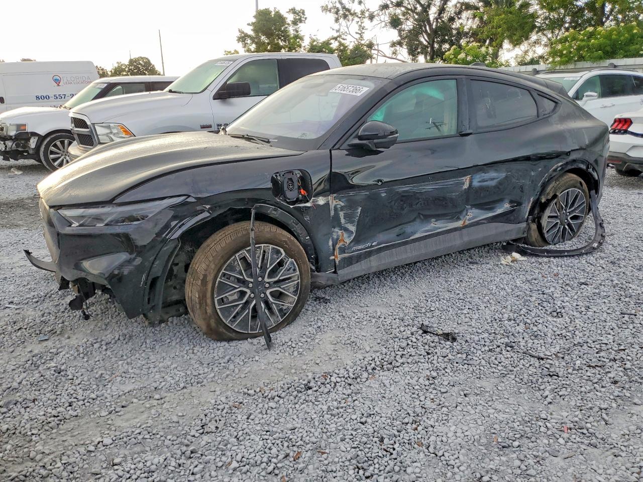 Salvage Ford Mustang Image