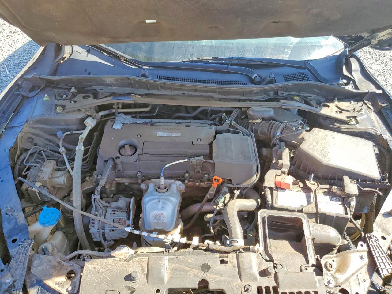 Honda Accord Sport