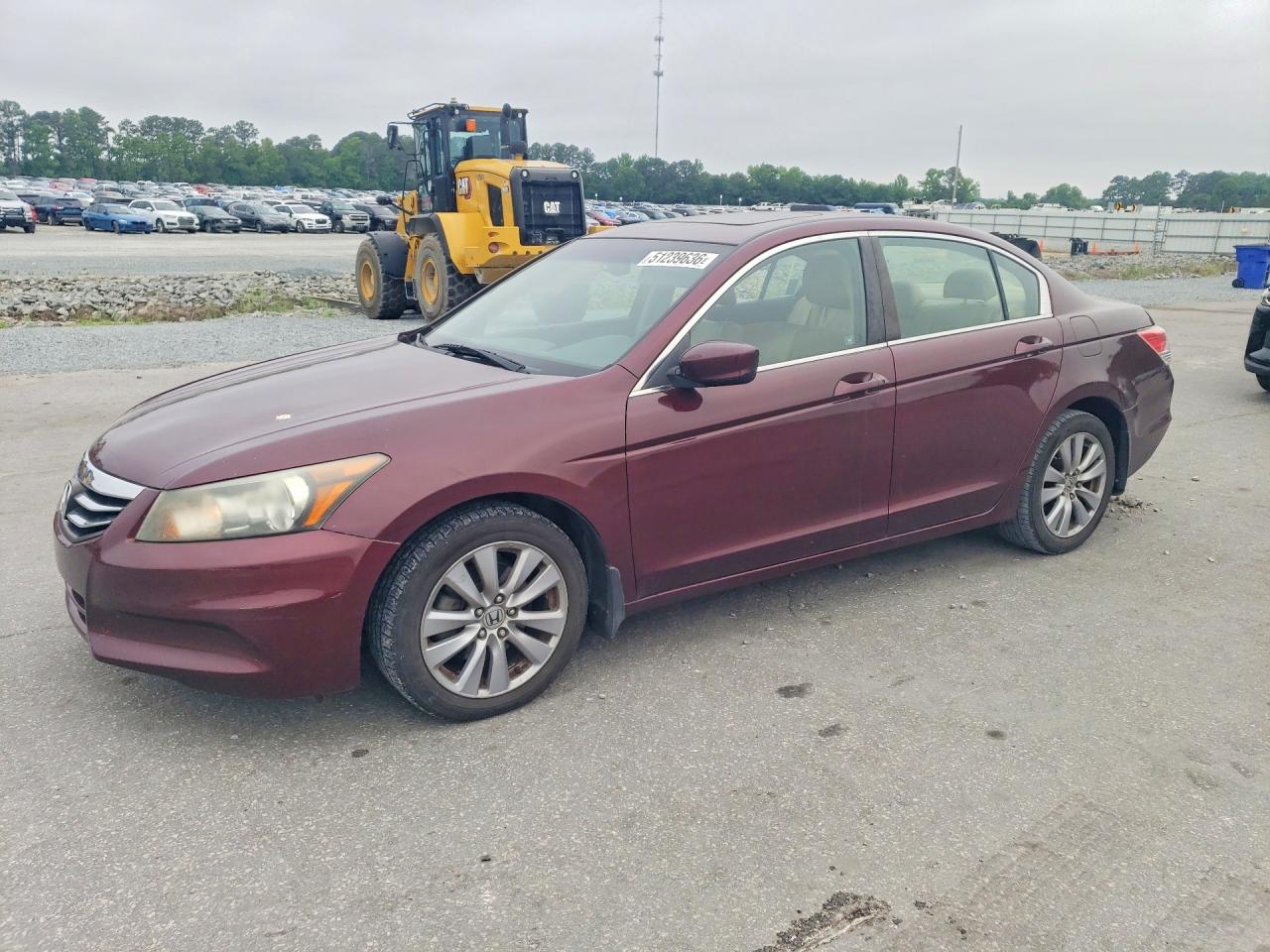 Salvage Honda Accord Image