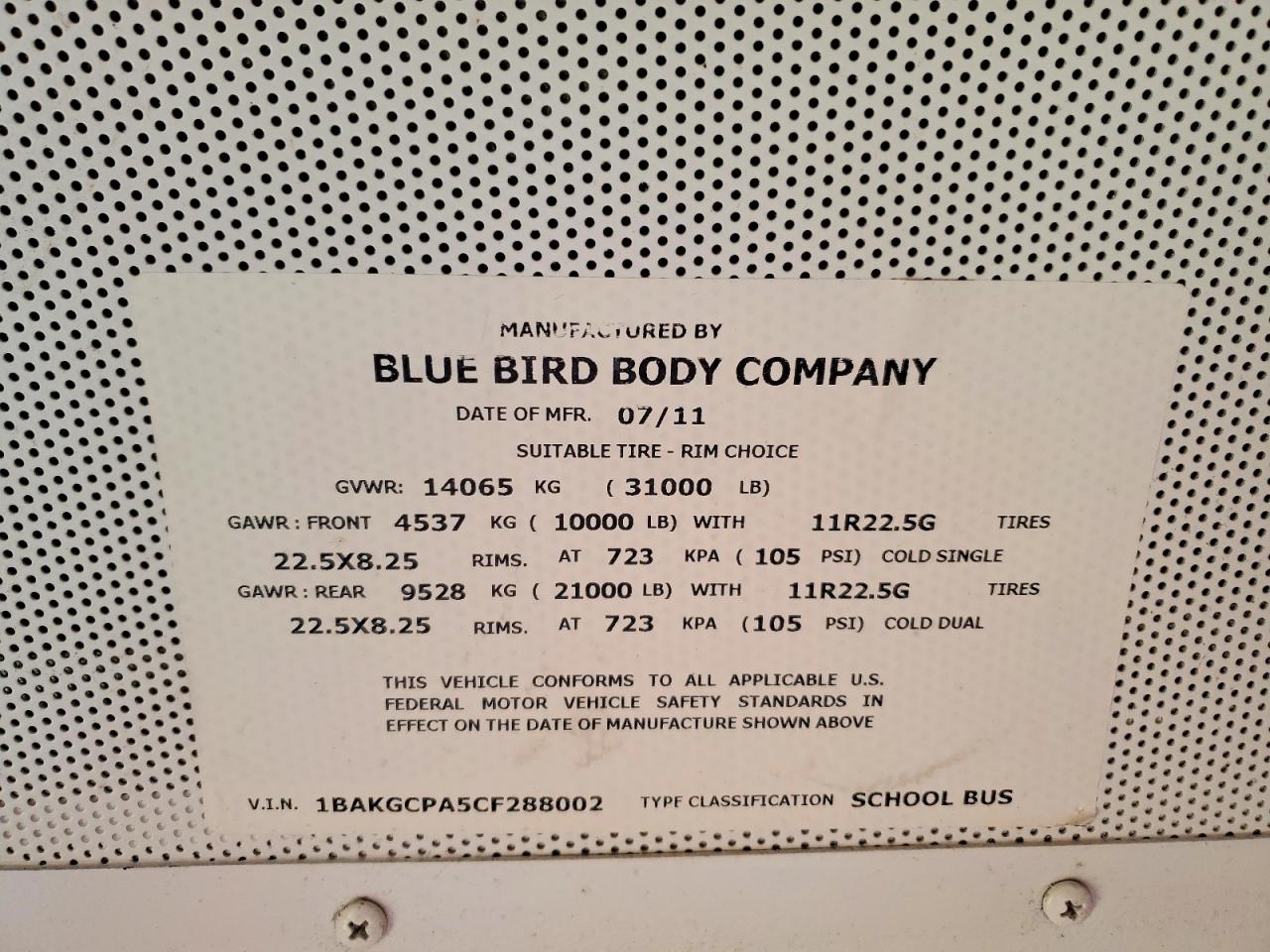 Bluebird School Bus