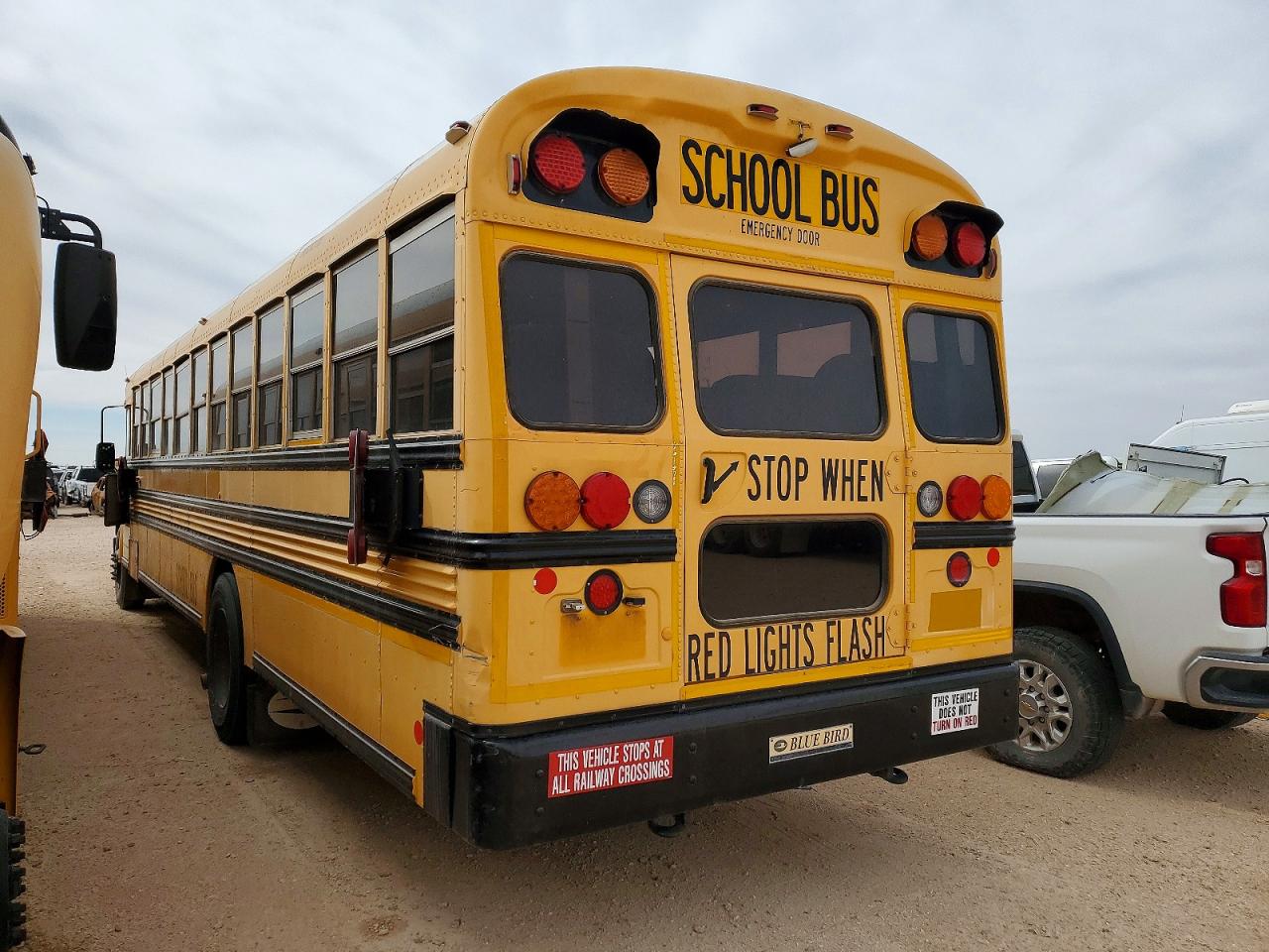 Bluebird School Bus