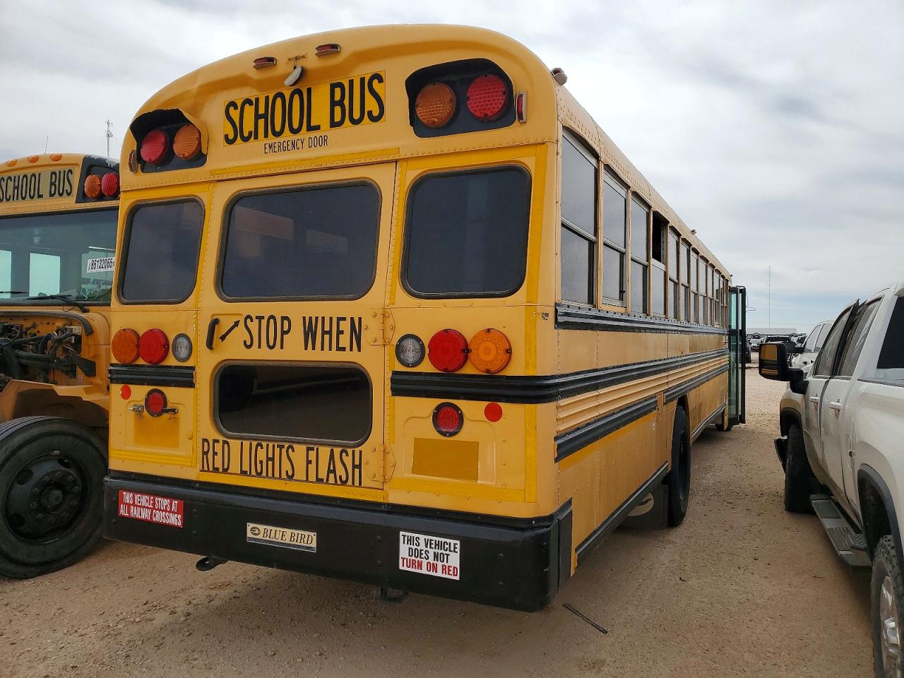 Bluebird School Bus