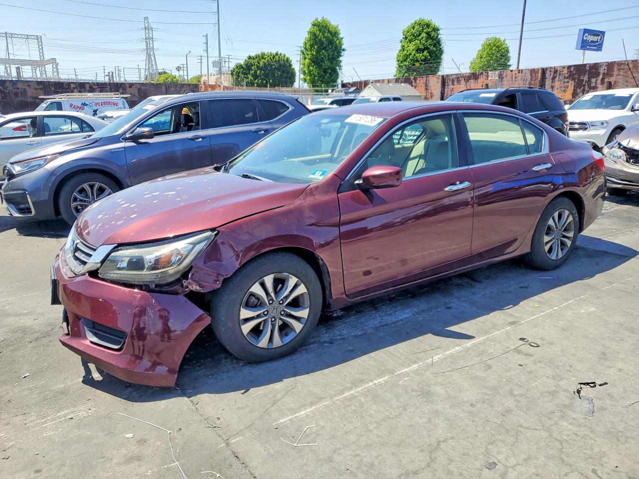 Salvage Honda Accord Image