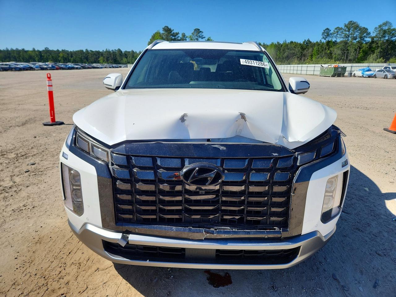 Hyundai PALISADE Sel Premium