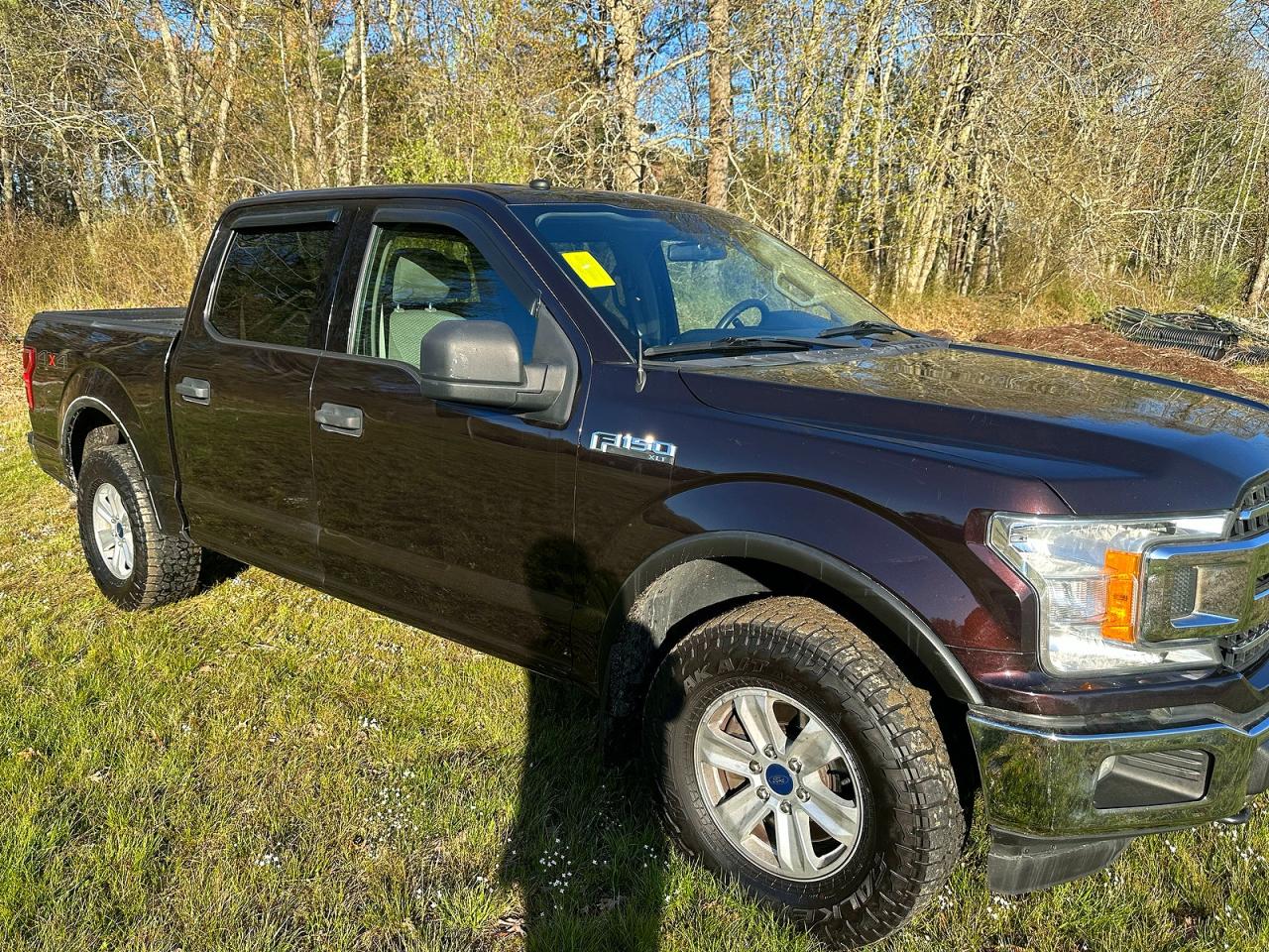 Salvage Ford F-150 Image