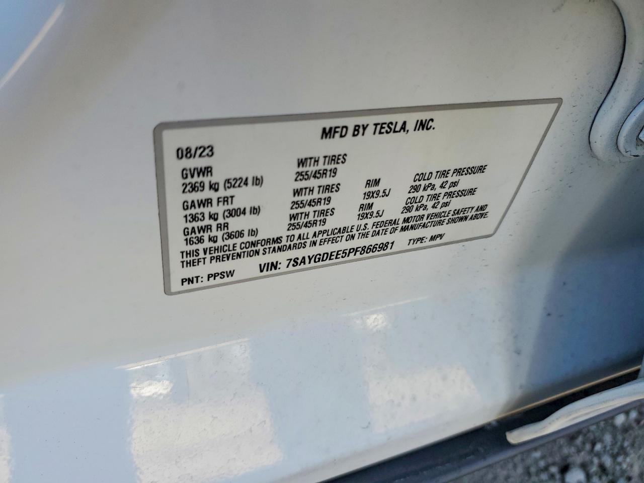 Tesla Model Y