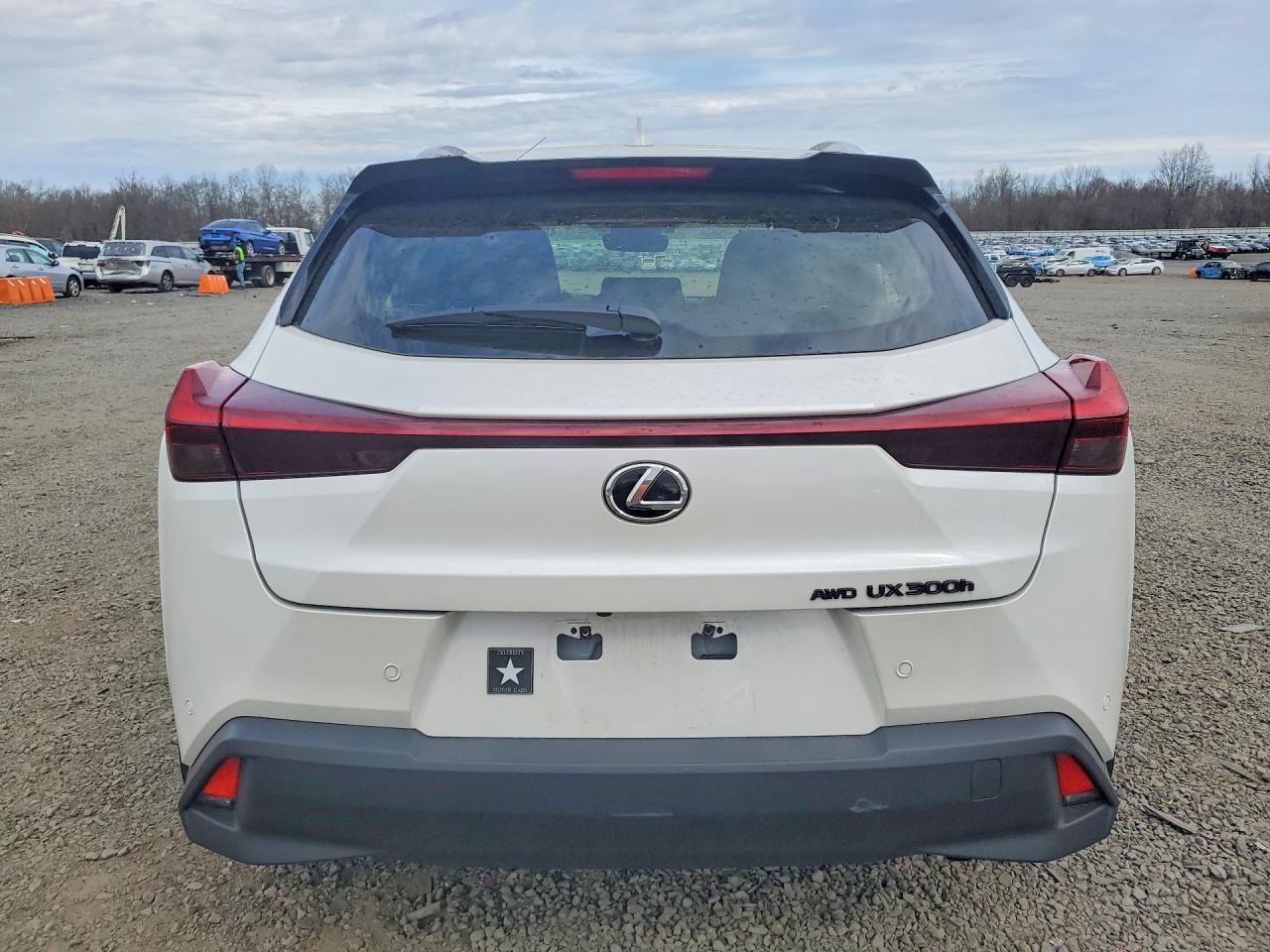 Lexus Other Premium