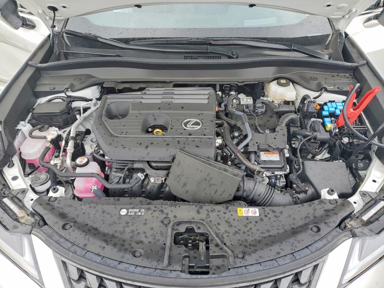 Lexus Other Premium