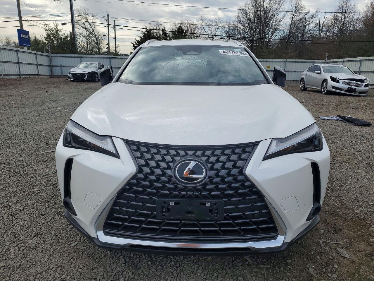 Lexus Other Premium