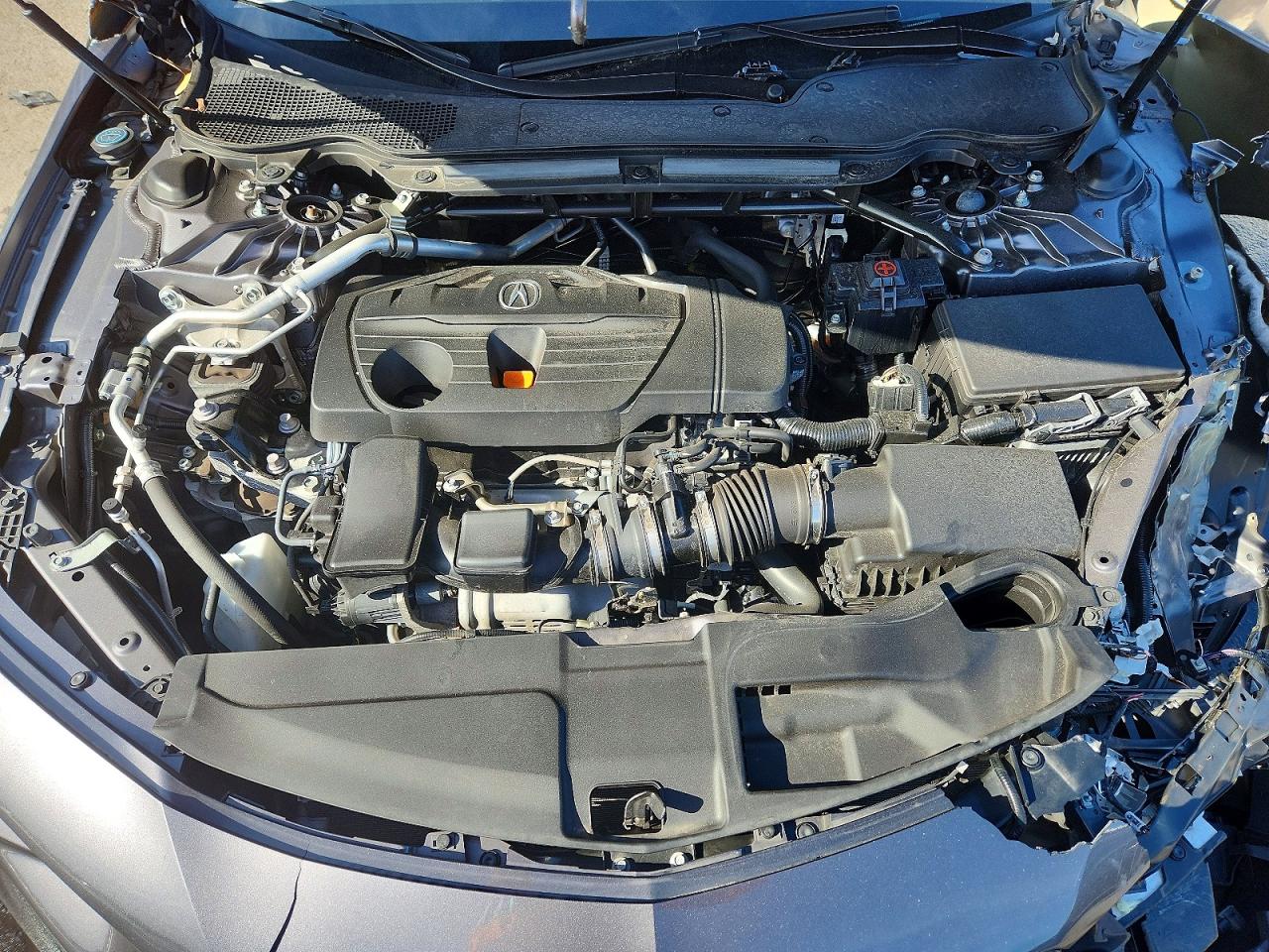 Acura TLX
