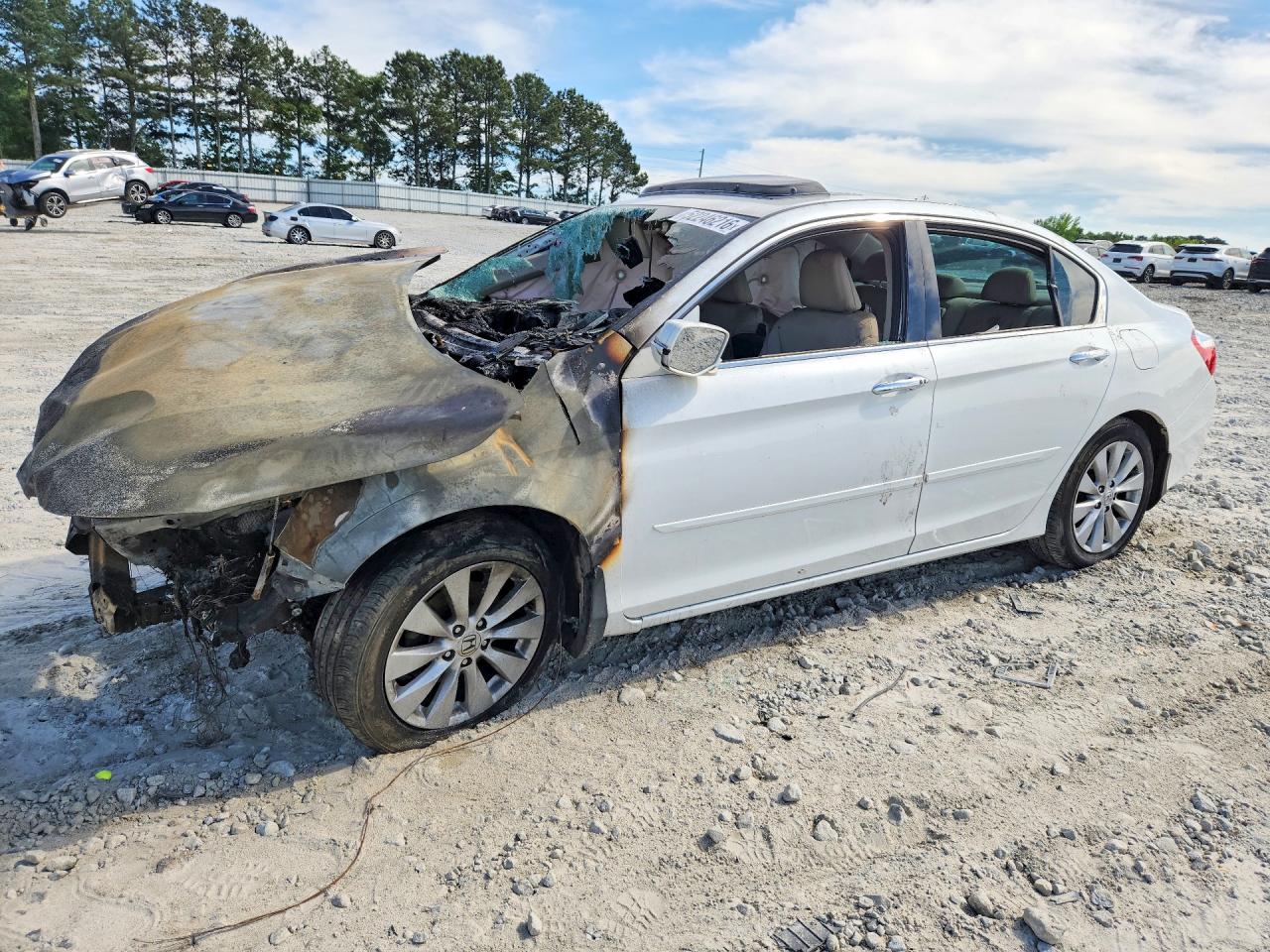 Salvage Honda Accord Image