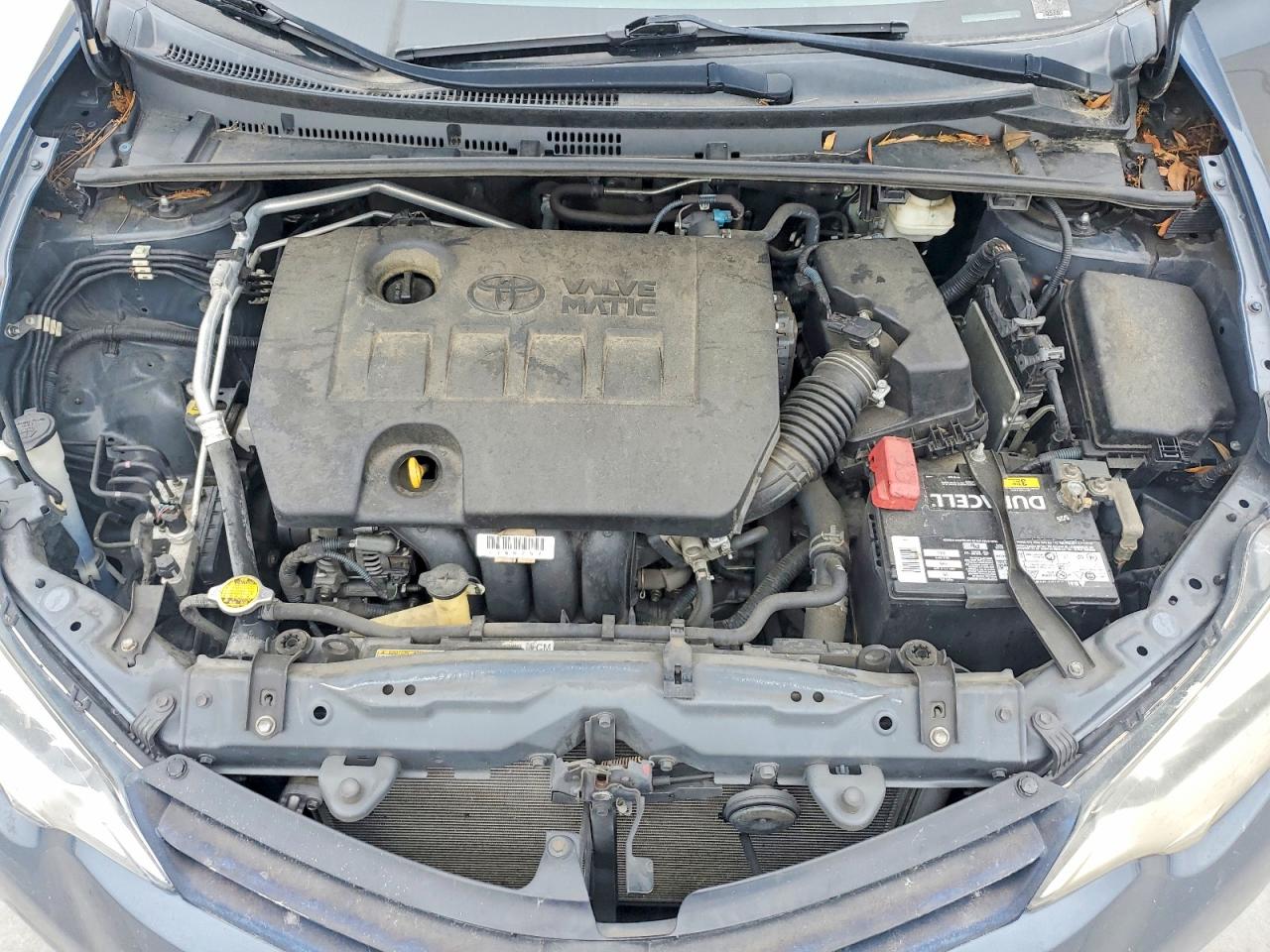 Toyota Corolla Le Eco Plus