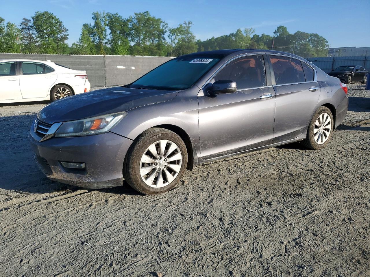Salvage Honda Accord Image