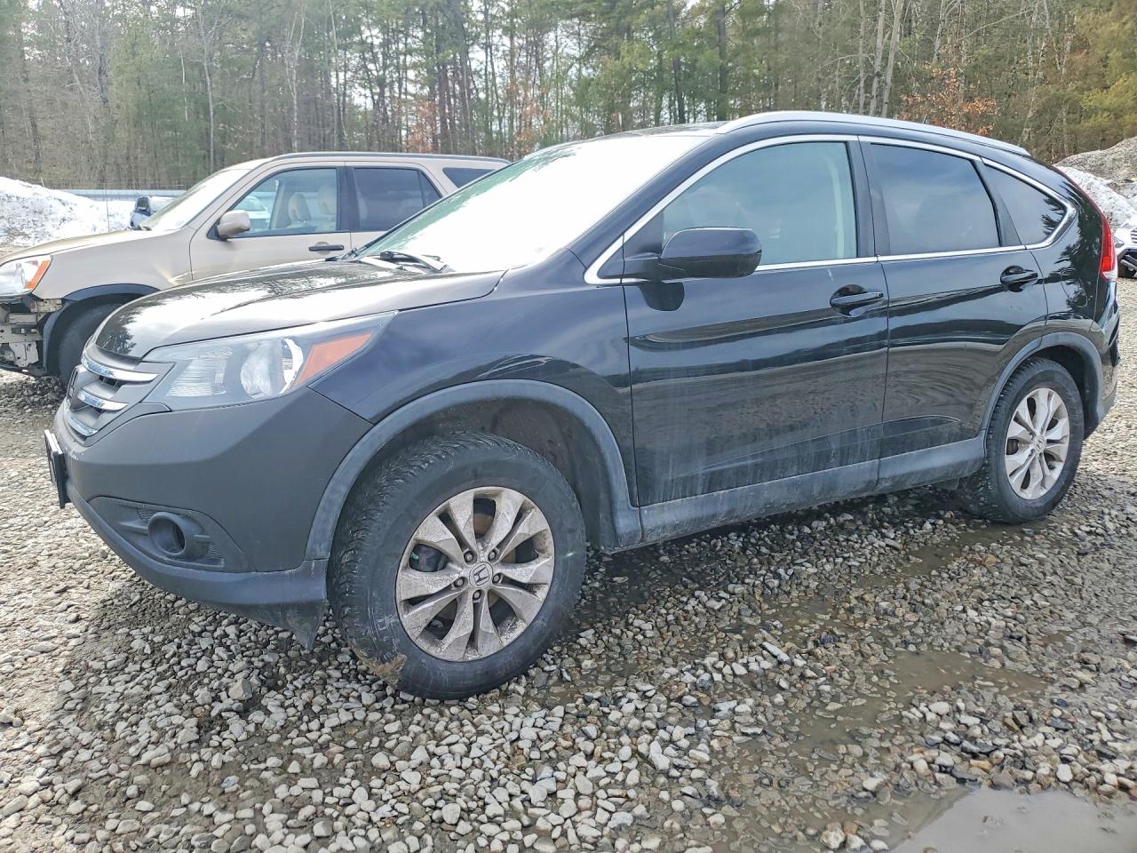 Salvage Honda Crv Image