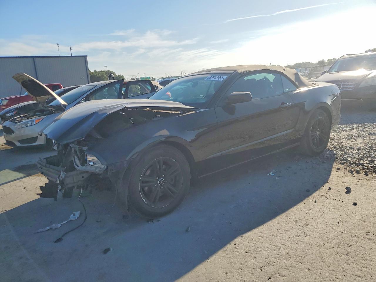 Salvage Ford Mustang Image