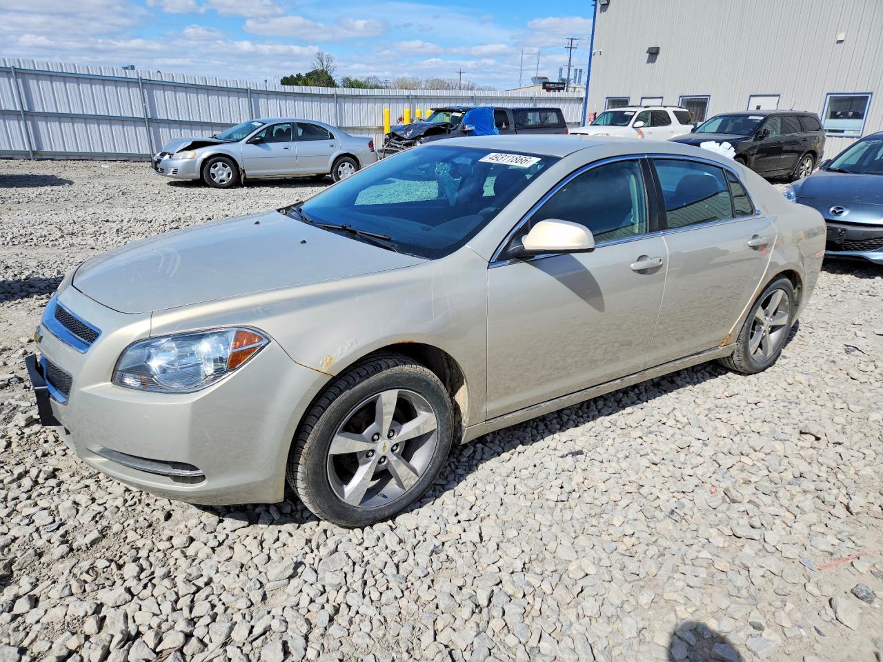 Salvage Chevrolet Malibu Image