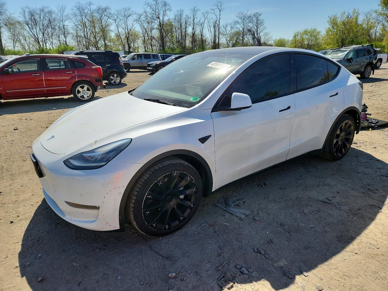 Salvage Tesla Model Y Image